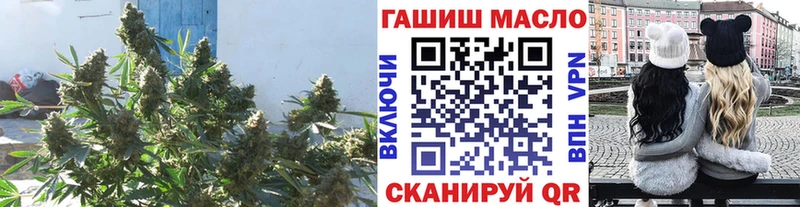 ТГК гашишное масло KRAKEN рабочий сайт Балей